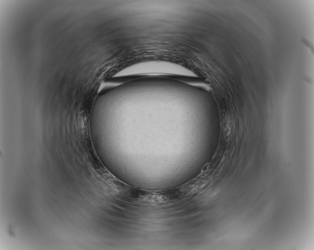 X0000094770276200712071141