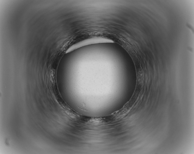 X0000094770280200712071141