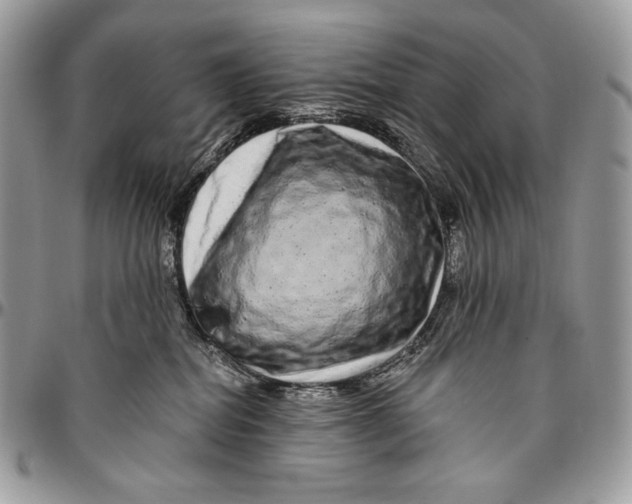 X0000094770282200712071141