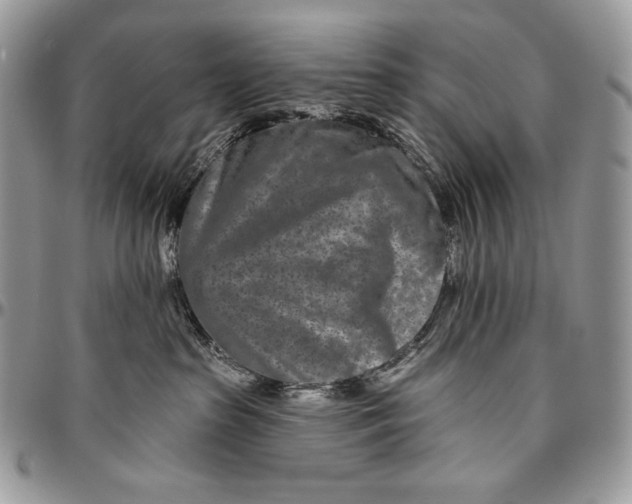 X0000094770285200712071141