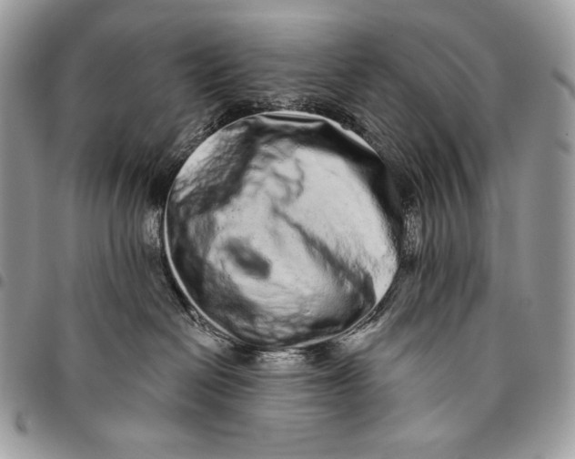 X0000094770286200712071141