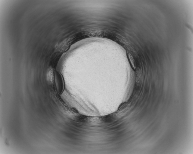 X0000094770287200712071141