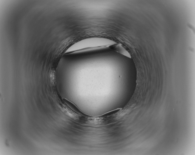 X0000094770288200712071141