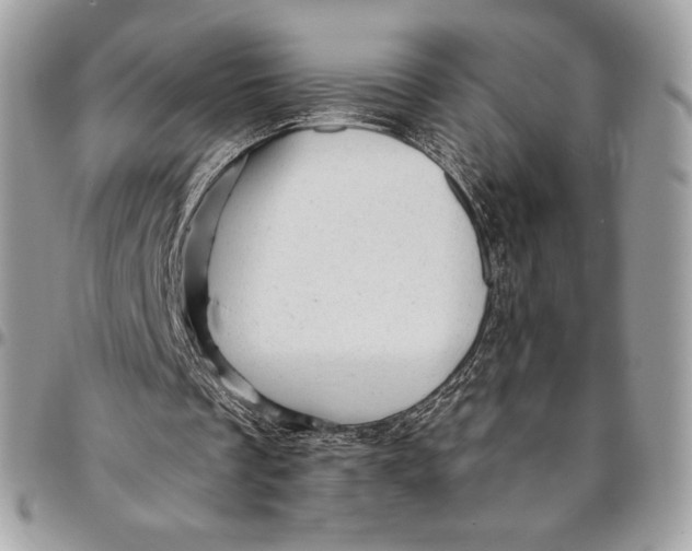 X0000094770289200712071140