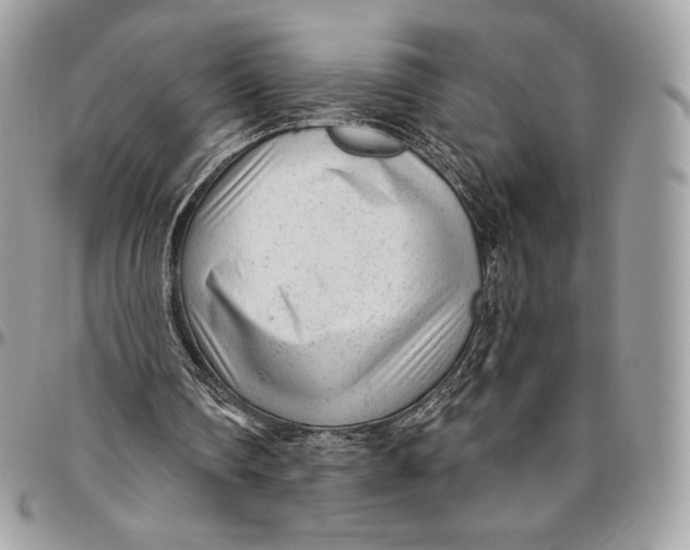 X0000094770290200712071140