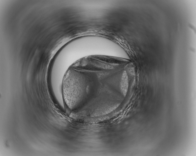 X0000094770292200712071140