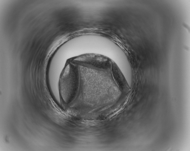 X0000094770293200712071140