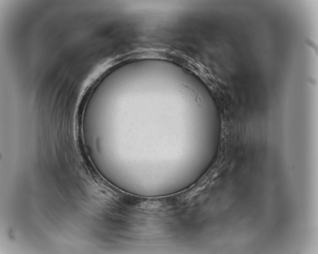 X0000094770294200712071140