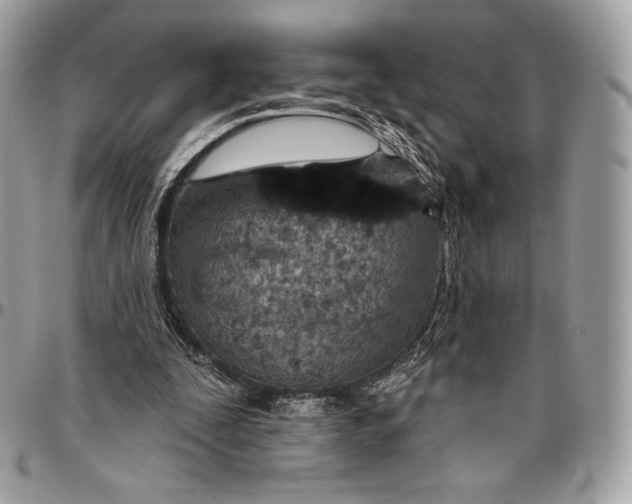 X0000094770295200712071140