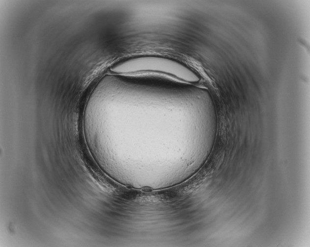 X0000094770299200712071140