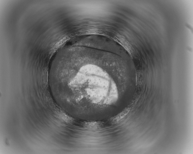 X0000094770301200712071140