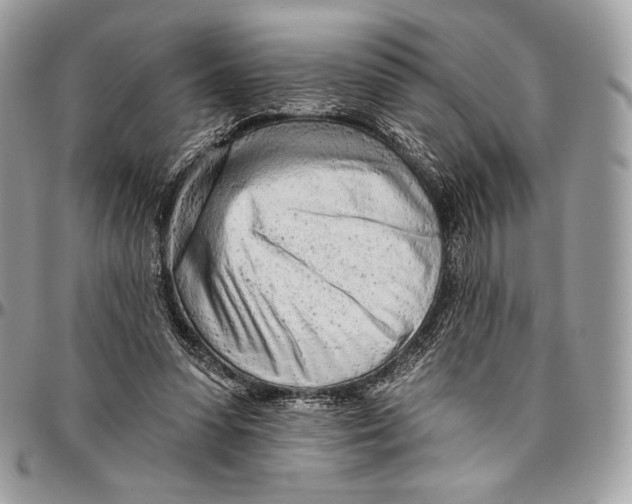 X0000094770303200712071140