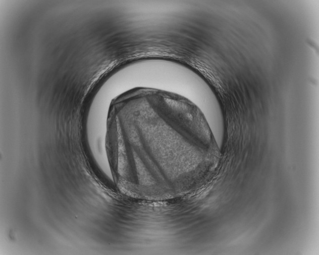 X0000094770304200712071140