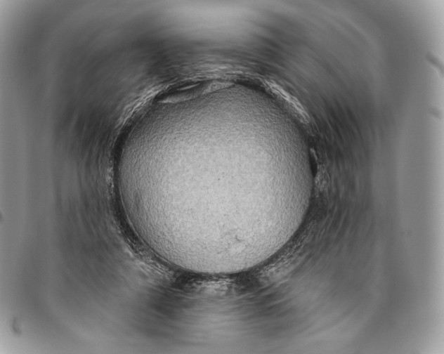 X0000094770306200712071140