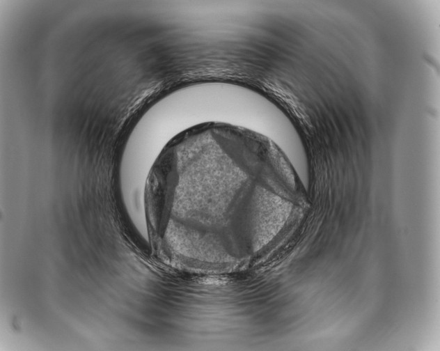 X0000094770308200712071140