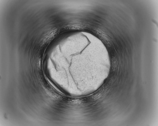 X0000094770310200712071140