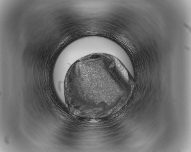 X0000094770312200712071140