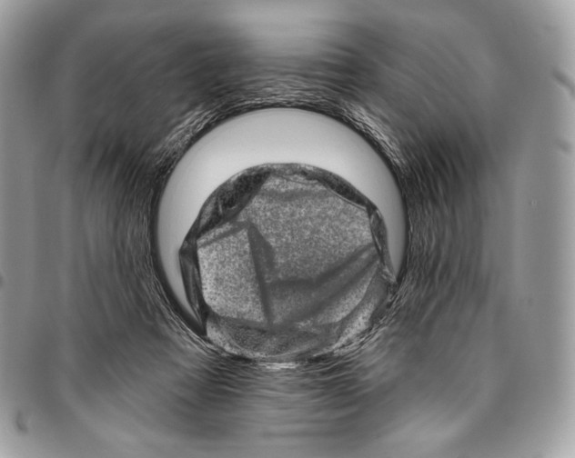 X0000094770313200712071140