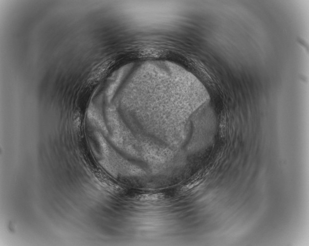 X0000094770314200712071140