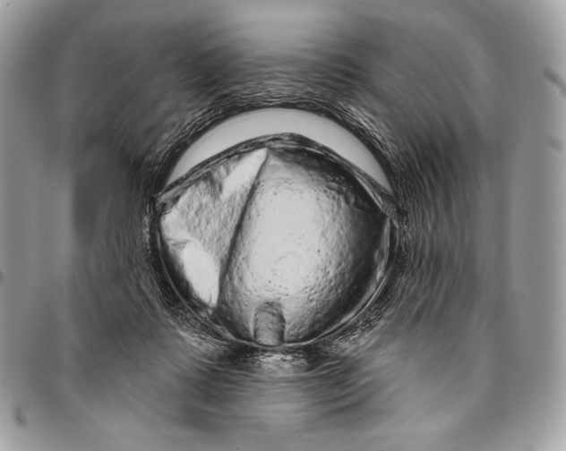 X0000094770315200712071140