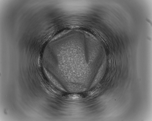 X0000094770316200712071140