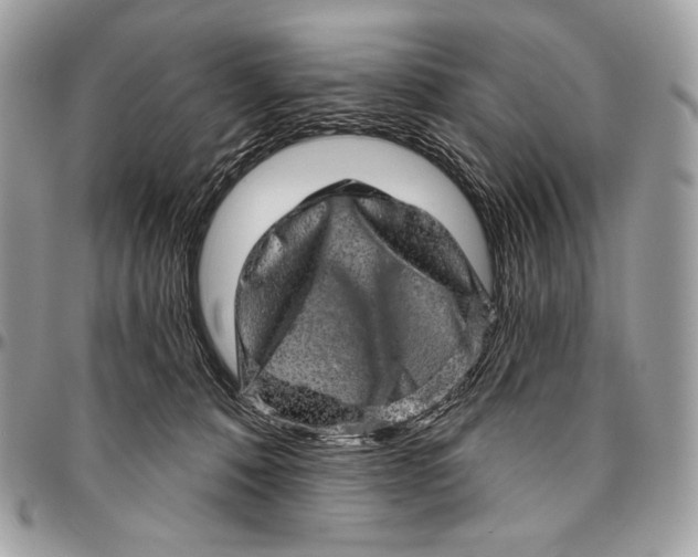 X0000094770320200712071140