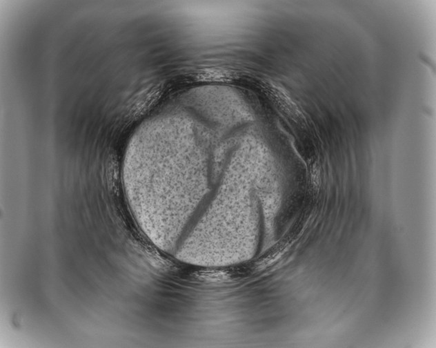 X0000094770322200712071140