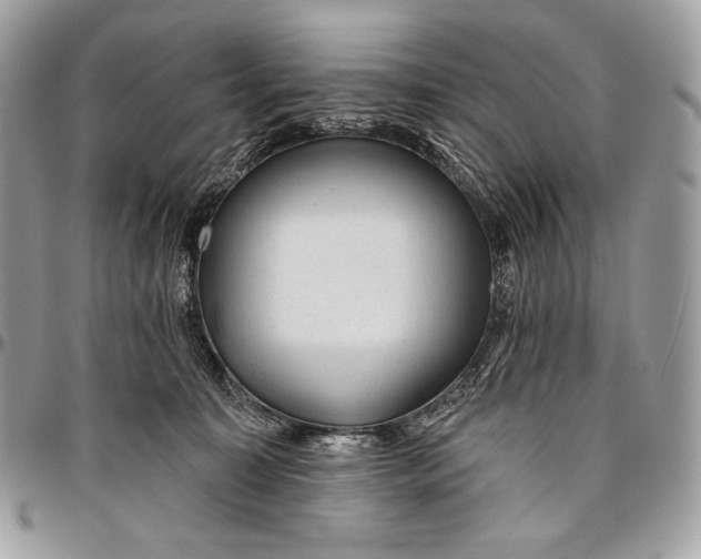 X0000094770323200712071140