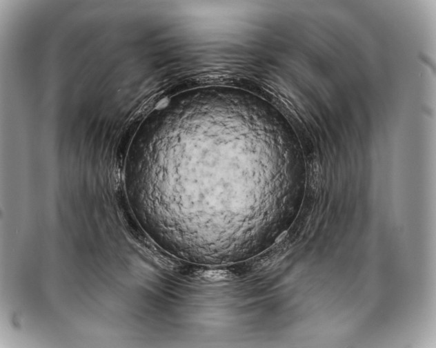 X0000094770324200712071139