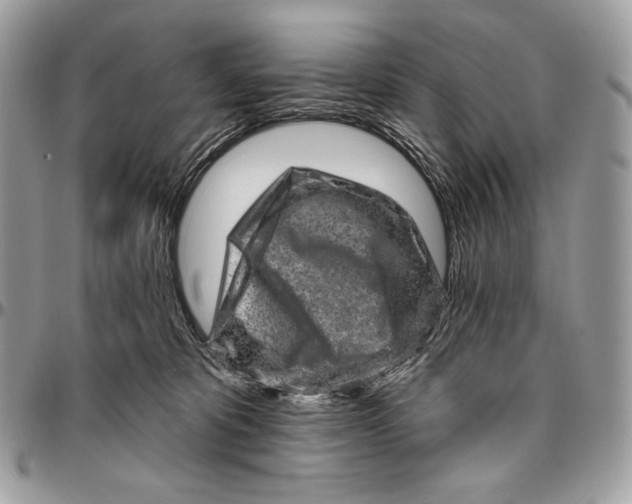 X0000094770325200712071139