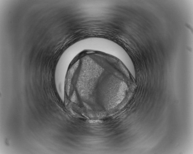 X0000094770327200712071139