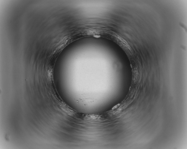 X0000094770329200712071139