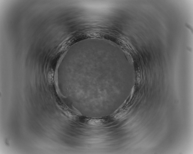 X0000094770332200712071139