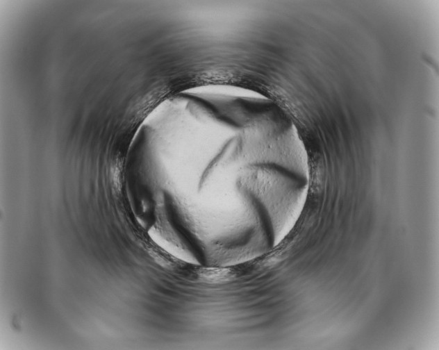 X0000094770334200712071139