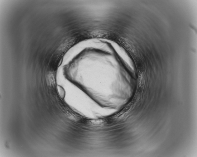 X0000094770335200712071139