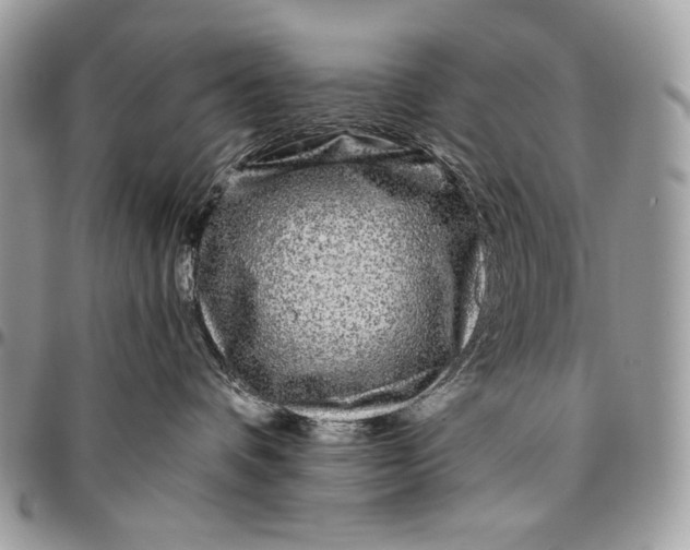 X0000094770336200712071139