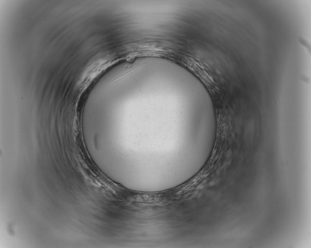 X0000094770338200712071139