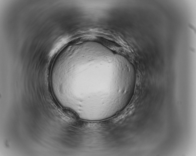 X0000094770341200712071139