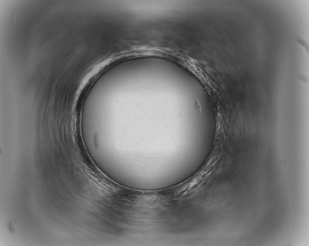 X0000094770342200712071139