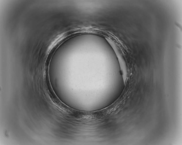 X0000094770344200712071139