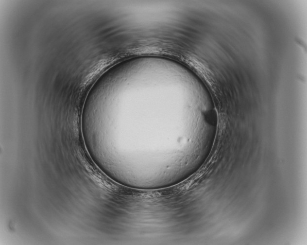 X0000094770345200712071139