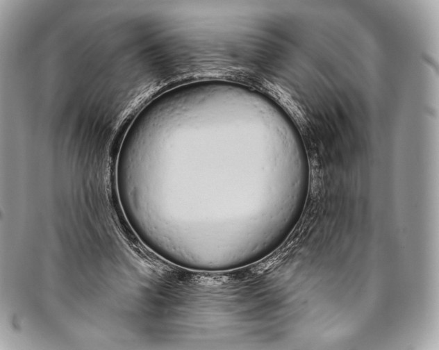 X0000094770346200712071139