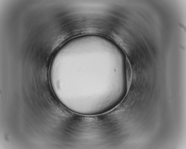 X0000094770347200712071139