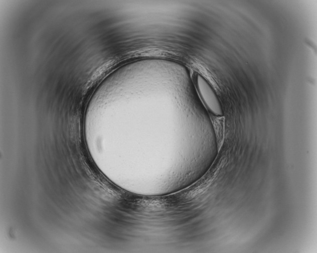 X0000094770349200712071139