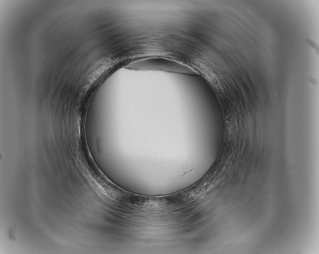 X0000094770350200712071139