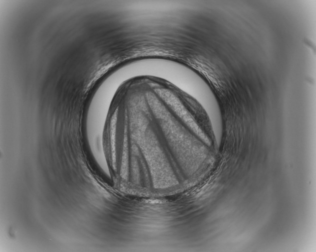 X0000094770352200712071139