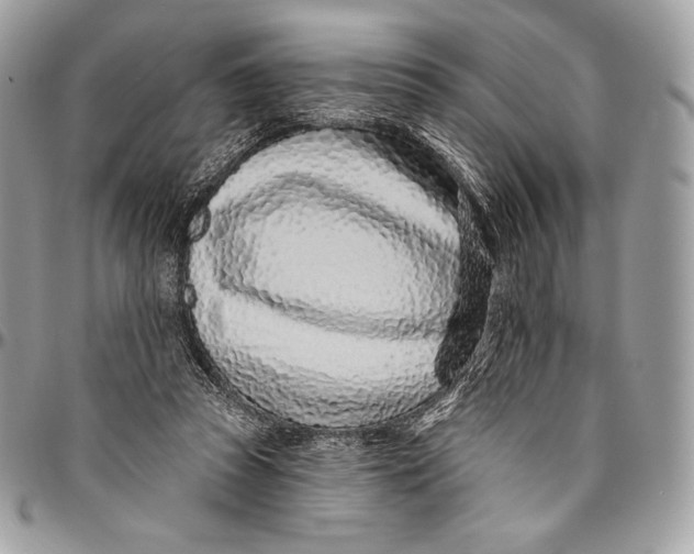 X0000094770353200712071139