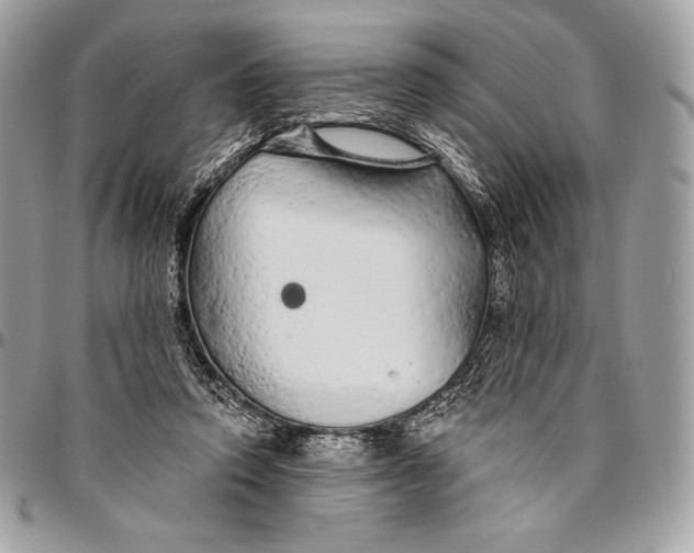 X0000094770354200712071139