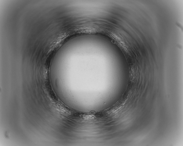 X0000094770355200712071139