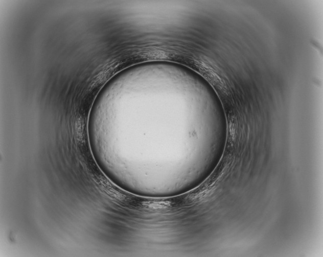 X0000094770359200712071139